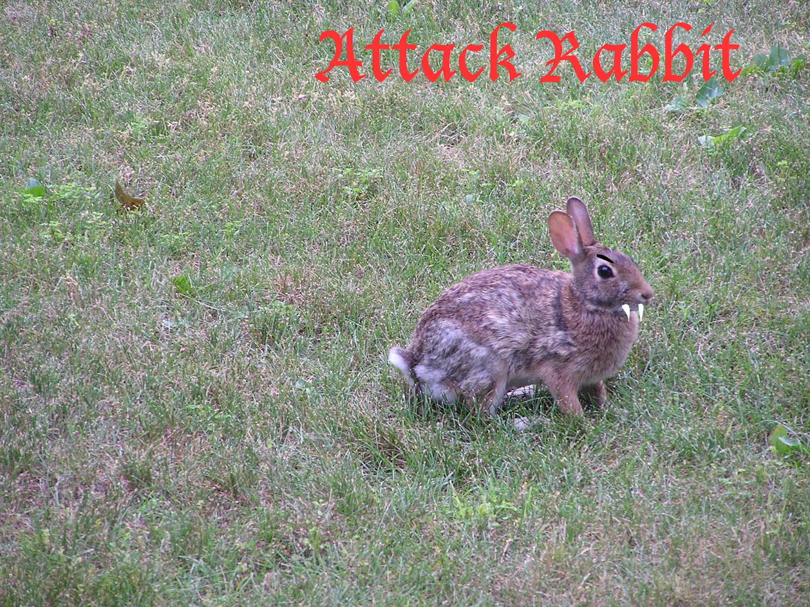 Deep Thoughts of a Common Household Mom Noises