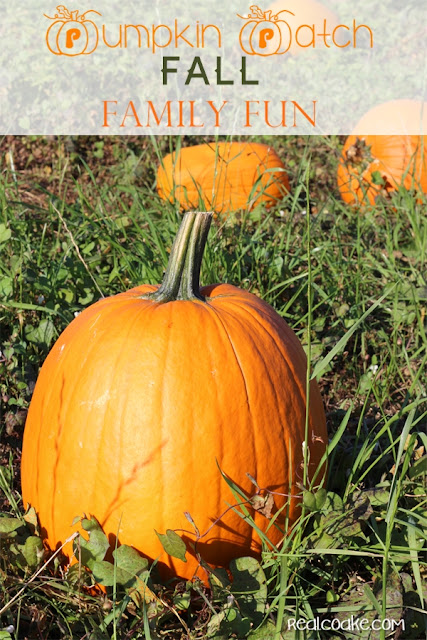 Family Fun idea of going to a pumpkin patch from realcoake.com