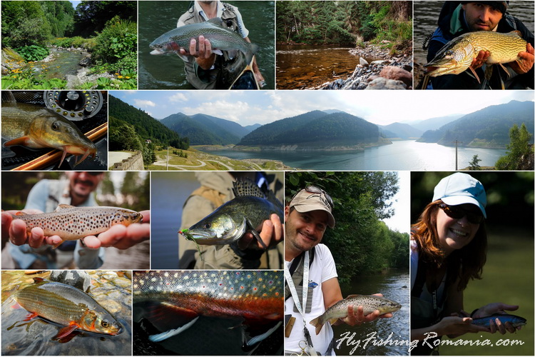 Fly Fishing in Europe Top 5 The hidden treasures