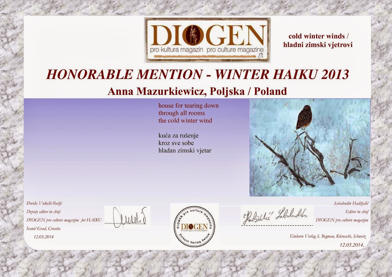 Diogen Winter Contest 2013