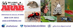arab control pest