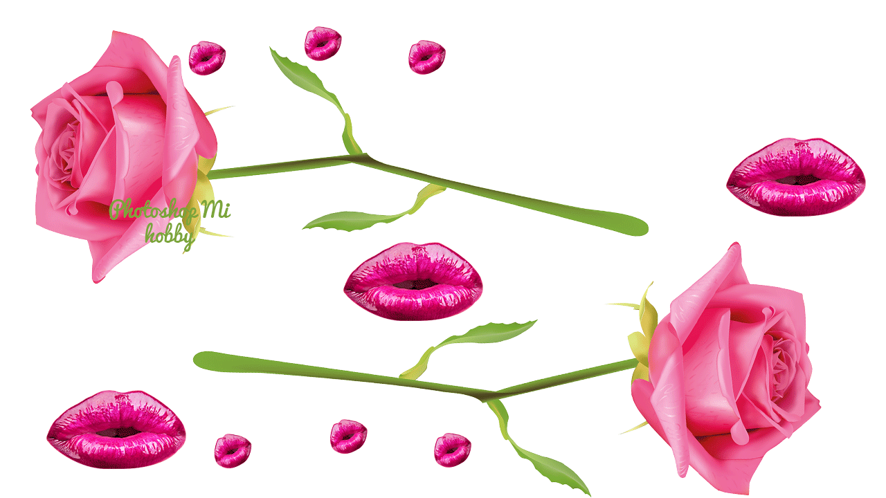 Ver las imágenes de origen