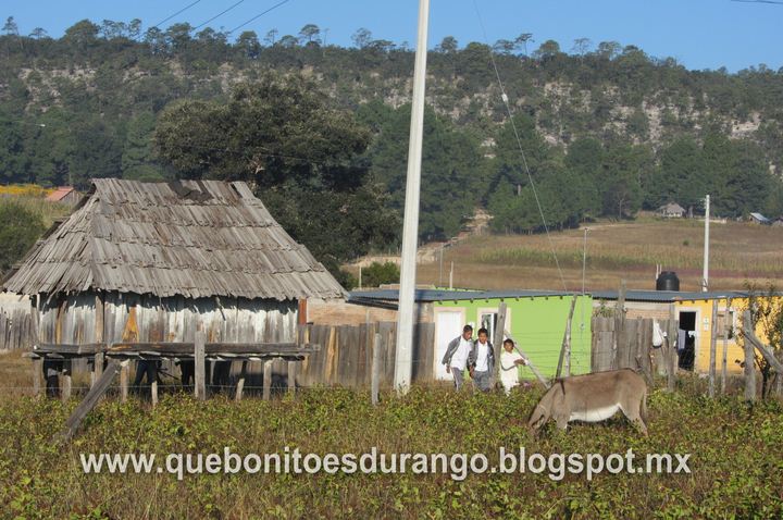 Qué bonito es Durango: Llano Grande, Mezquital, Dgo.