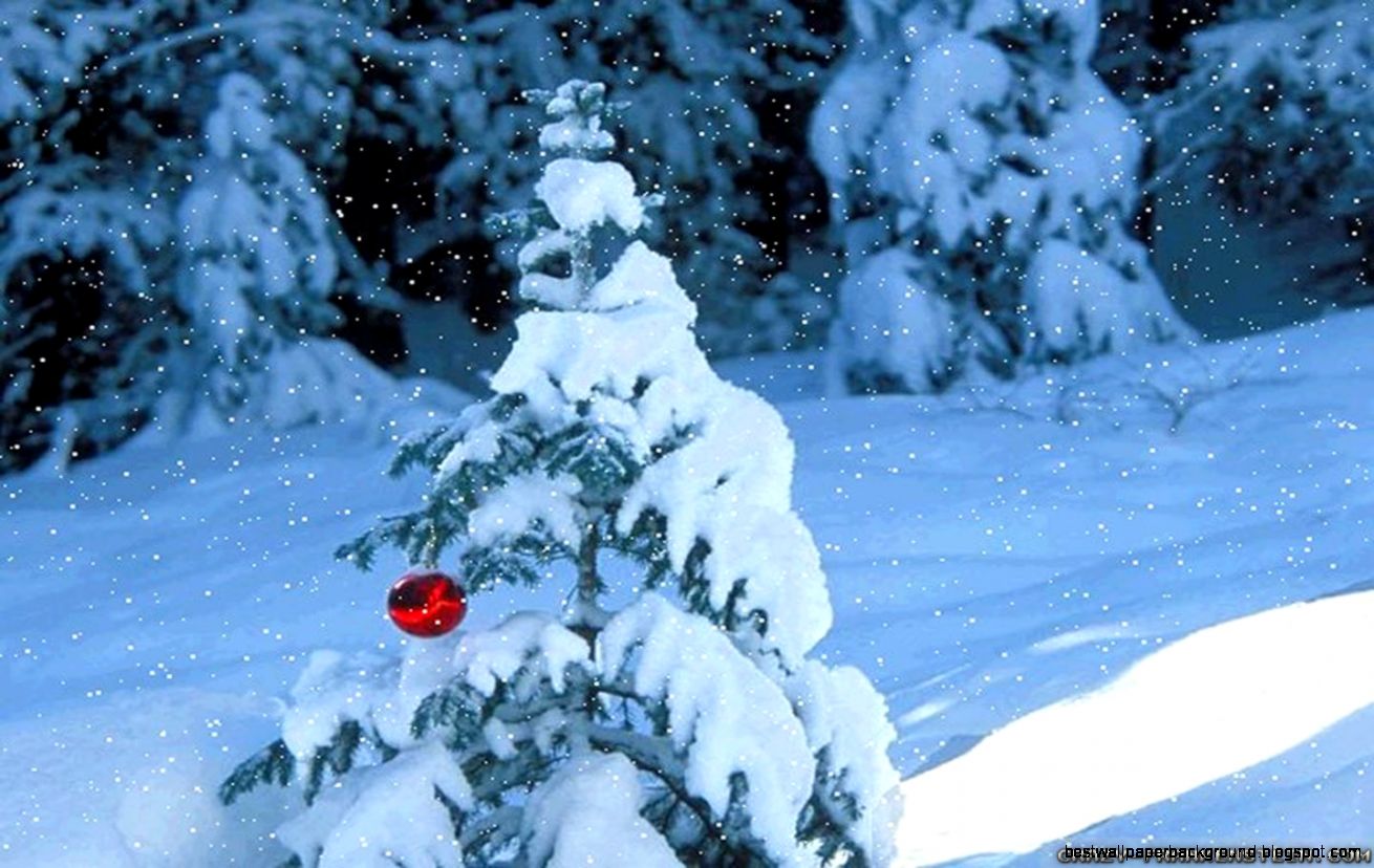 Winter Scenes wallpapers   Crazy Frankenstein