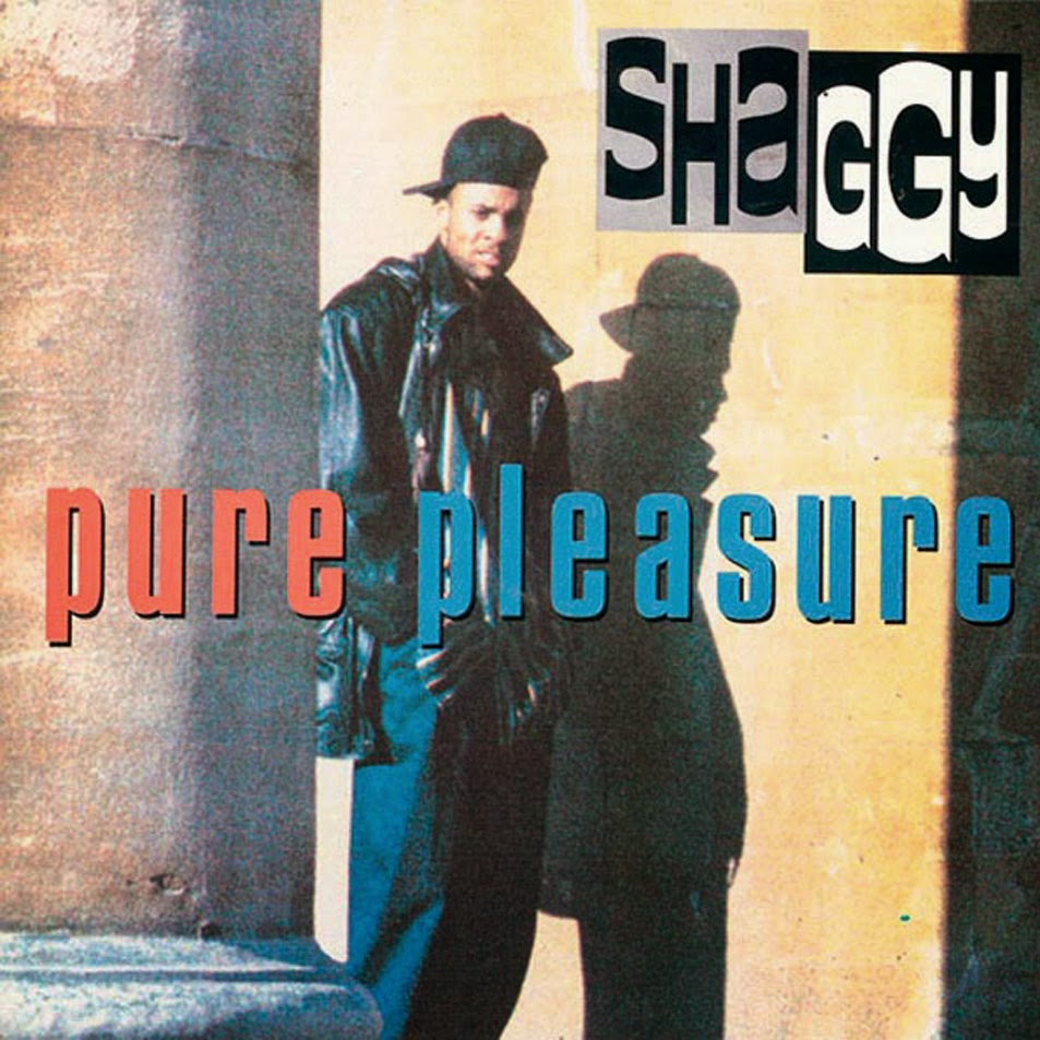 Discografia de Shaggy ( 17 cds )