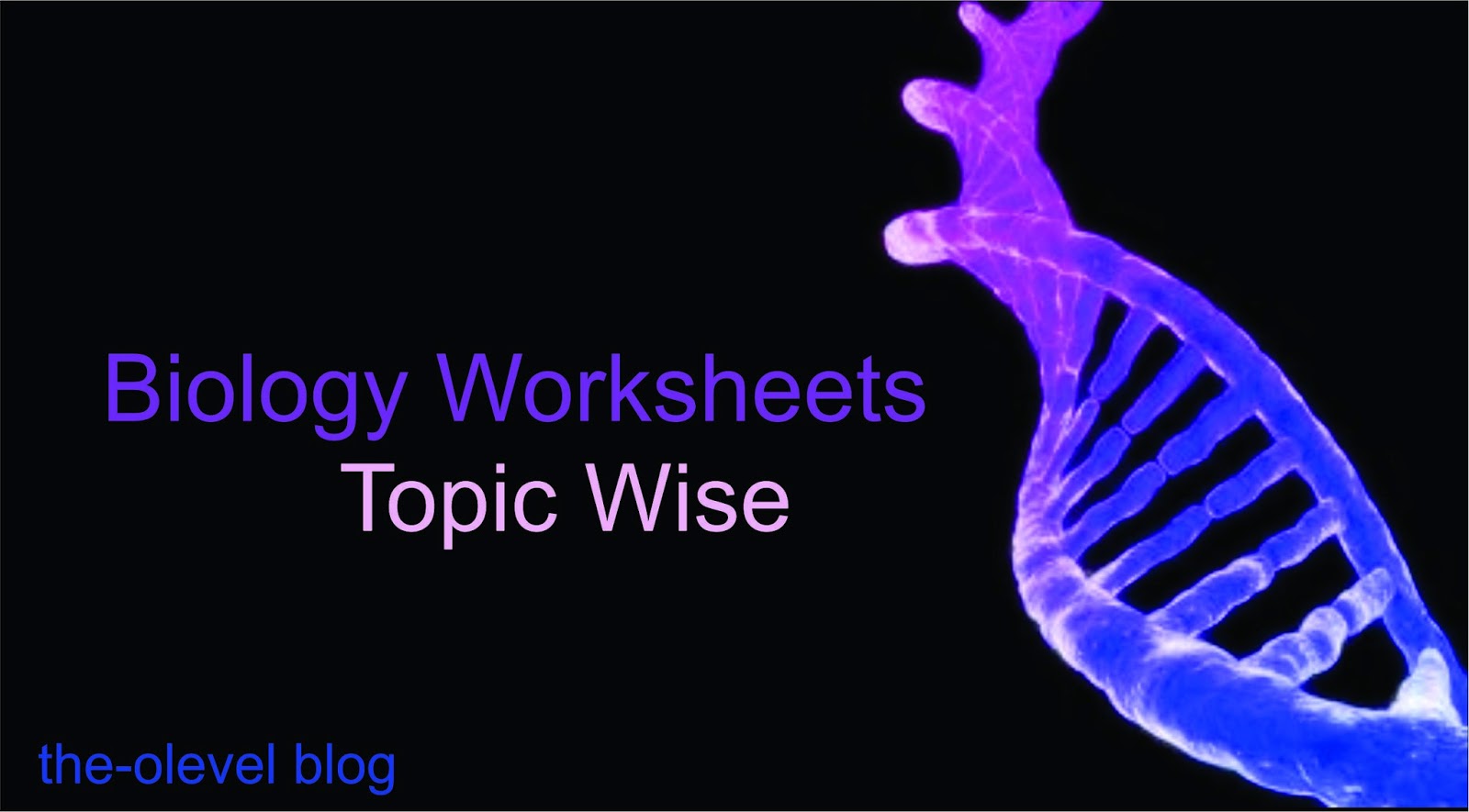Biology Worksheets The OLevel Blog