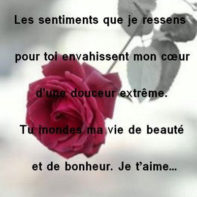 Aime texte je d pour t dire lui amour Texto pour