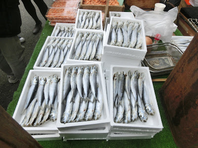 ���J���E�΂̎s