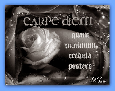Carpe Diem Amore Assoluto
