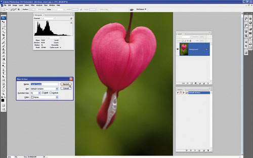 Thủ thuật Photoshop: Cách xử lý ảnh hàng loạt nhanh và đẹp