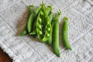 First peas of the 2013 season