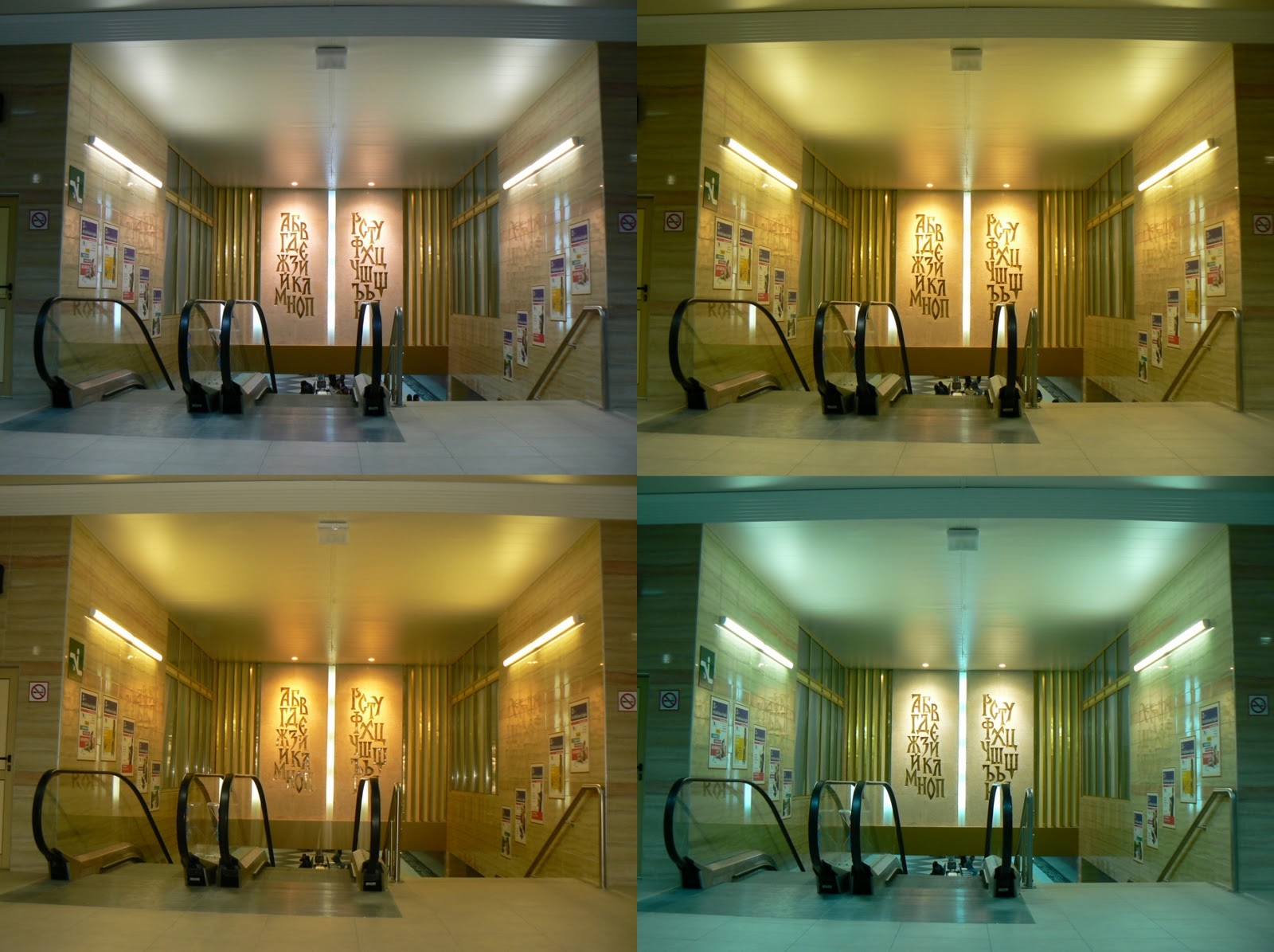 ColorChecker White Balance Calibrite - Cartoncino Per Bilanciamento Bianco Professionale Foto/Video Formato A4 - Foto 4