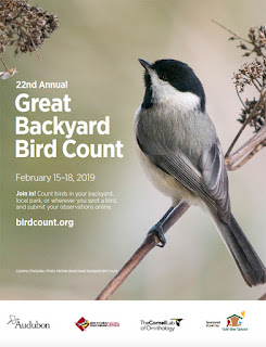 great count bird backyard passive program citizen poster another science week release shout yss youth services apps