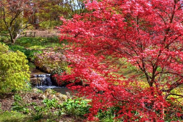 Funny and Curious Picture Gallery: Most Beautiful Gardens All Over The