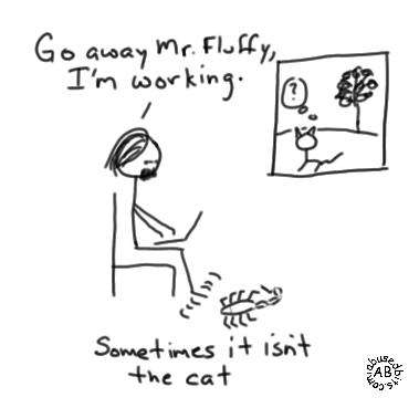 not Mr. Fluffy