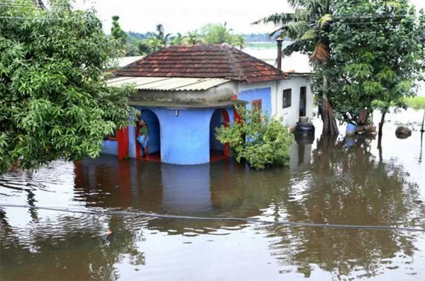  News, Thiruvananthapuram, Kerala, Kuttanad, Water authority, KSEB, KWA Water draining in Kuttanad