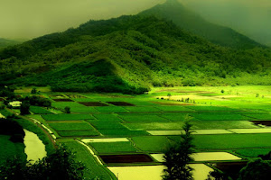 Download Free Wallpaper For Desktop With High Resolution