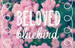 Beloved Bluebird