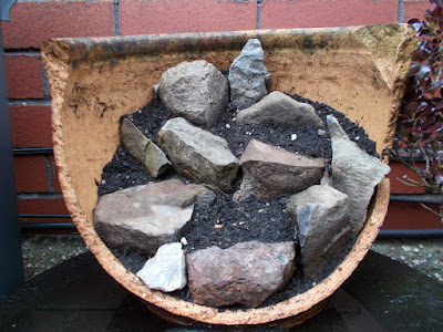 Mini alpine garden in recycled broken pot Green Fingered Blog