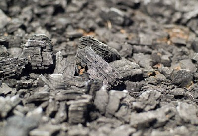 Como NUTRIR el suelo sin QUÍMICOS