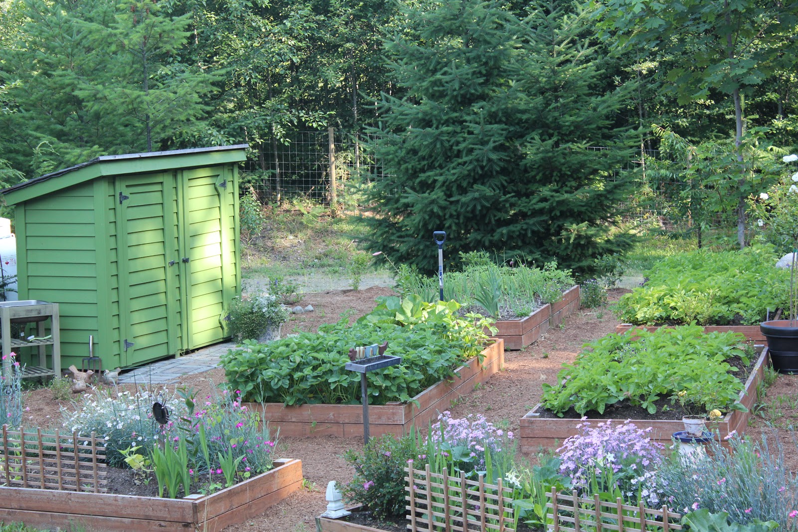 Kitchen Potager Garden Design