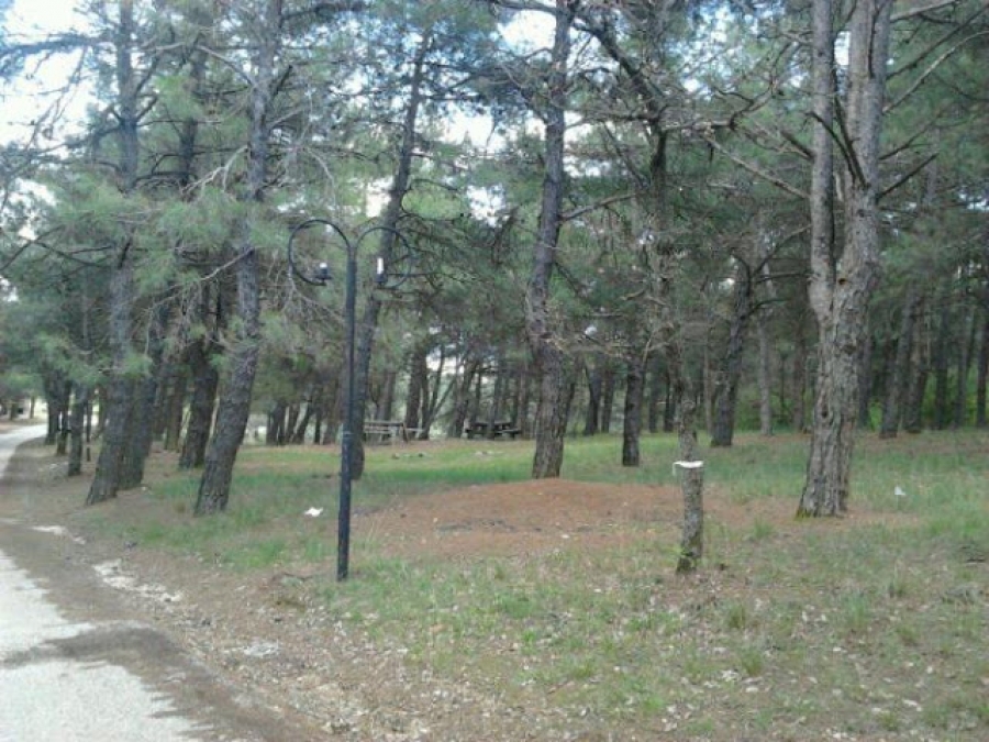 ΚΛΙΚ ΓΙΑ ΜΕΓΕΝΘΥΣΗ