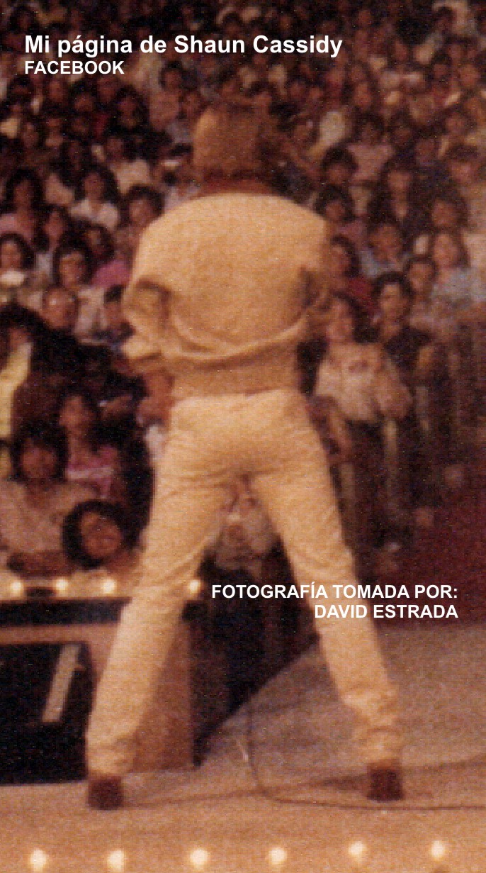 Mi página de Shaun Cassidy YO TOMÉ ESTA FOTO...