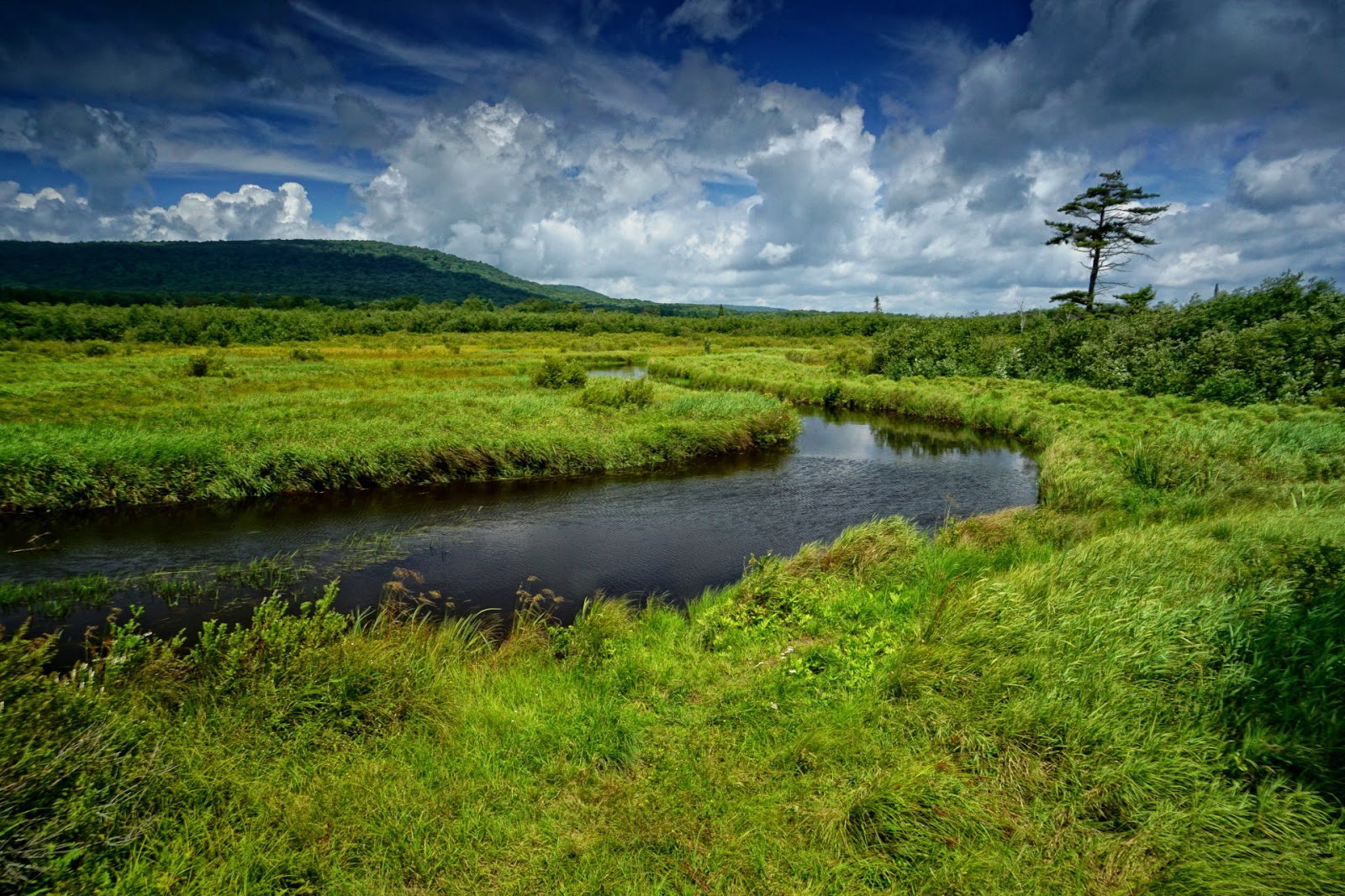 Discover West Virginia Back to the Blackwater River Trail Canaan Valley