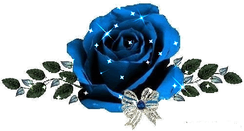 imagenes-de-rosas-gif-para-descargar.gif