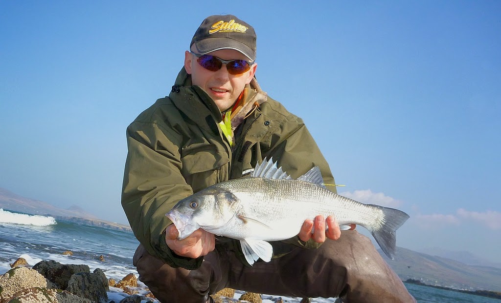 Sea Bass Hunting More tagged Sea Bass in Kerry 18.03.2015
