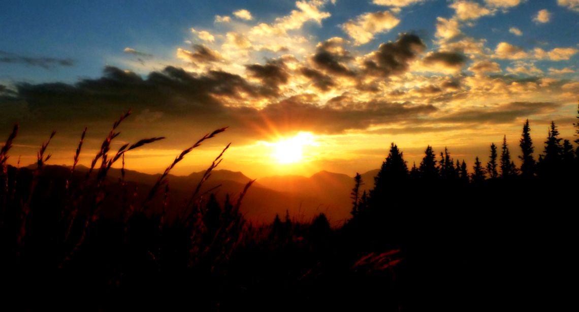 Morning Light Counseling