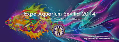 Expo Aquarium Sevilla 2014