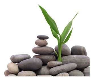 3 Prinsip Zen untuk Hidup Sehat dan Bahagia - IndoPositive - Bahas