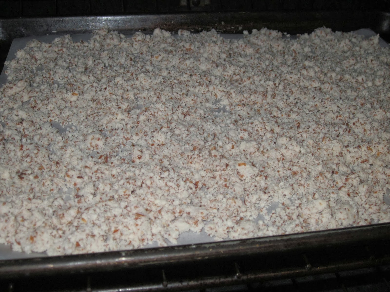 Queen B Creates Almond Milk / Almond Flour / Date Shake