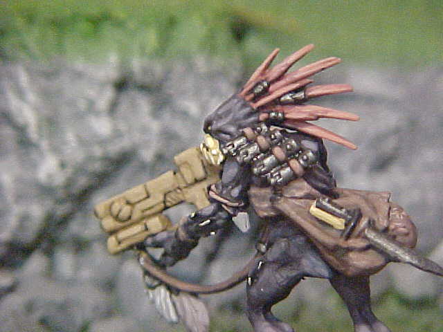 kroot - JungleKey.fr Image #250