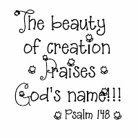 Image result for enjoying the beauty of God's creation bible hub