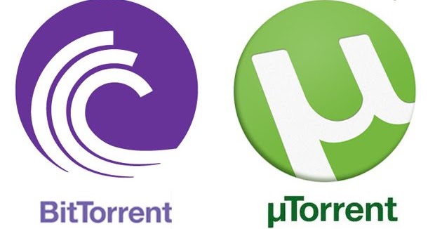 whats torrent whats torrent