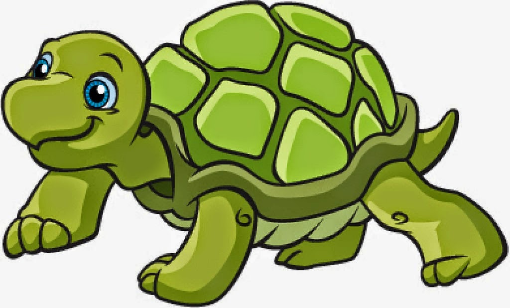 image clipart tortue - photo #12