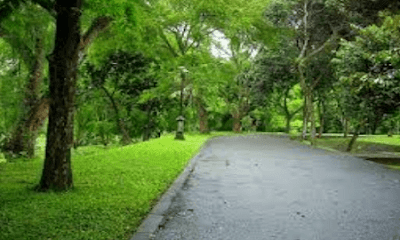 Free Gambar Kumpulan Contoh Puisi Bertema Tentang Lingkungan Hidup Yang Terbaru oleh Cikimm.com
