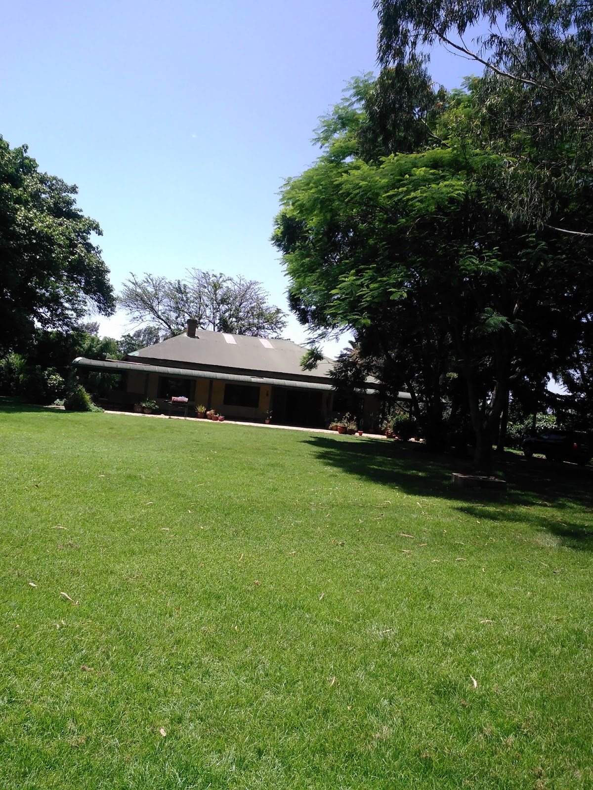 Rent house in Tanzania Arusha rent homes, Houses for sale,vacation
