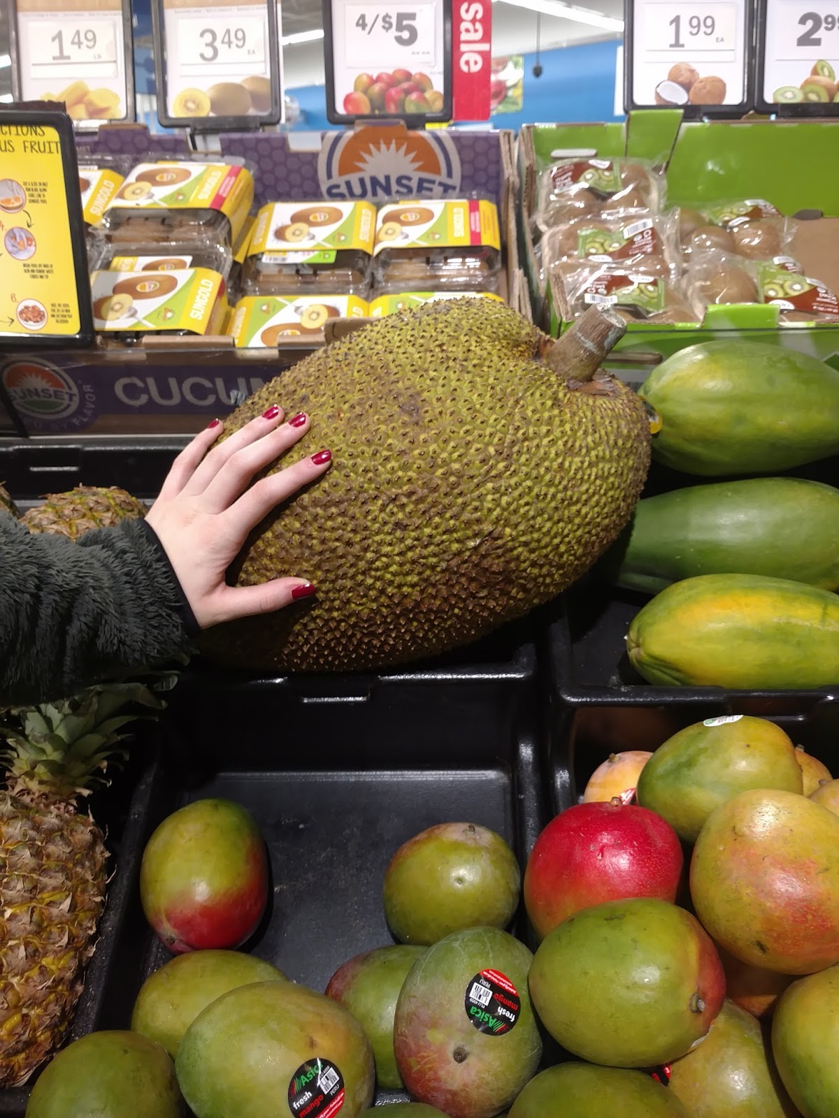 Better Version of Me Fresh Jackfruit vs. Canned Jackfruit