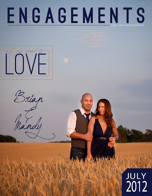 engagement session green bay wedding photographer