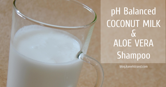 Kanelstrand: Homemade Shampoo Review: Coconut Milk and