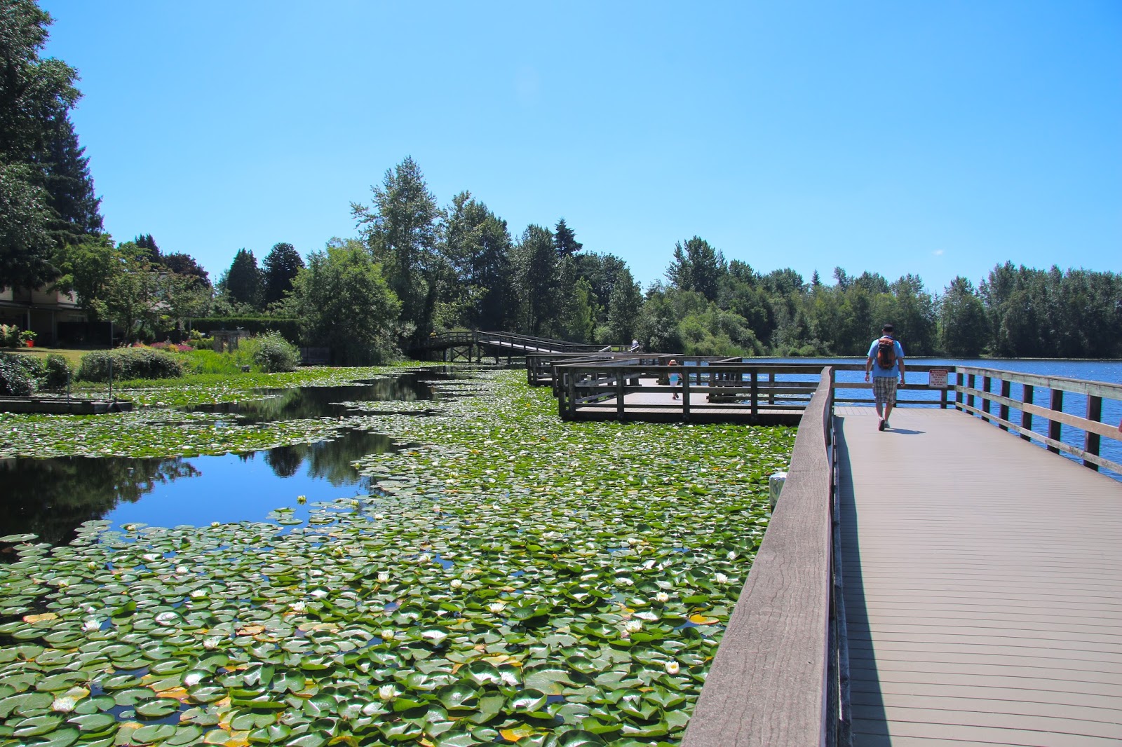 on my toes Mill Lake Park, Abbotsford
