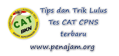 Strategi Jitu mengerjakan tes CAT terbukti berhasil 100%, tips dan trik agar lulus CPNS, Tips dan Cara Lulus Tes CAT CPNS