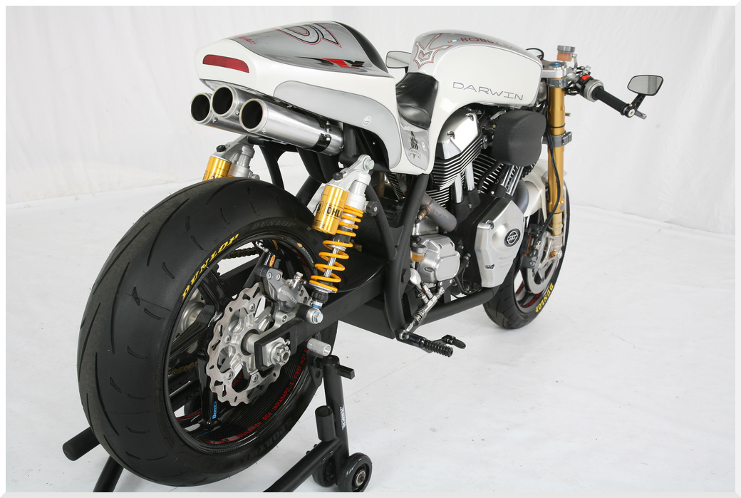 CaraibiRockers Brass Balls Bobber HD Cafe Racer