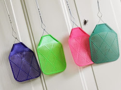 centipedes rid capture swatters fly