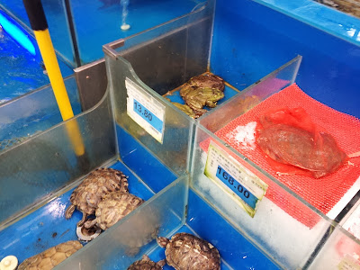 Live and dead turtles and toads in store in Shanghai