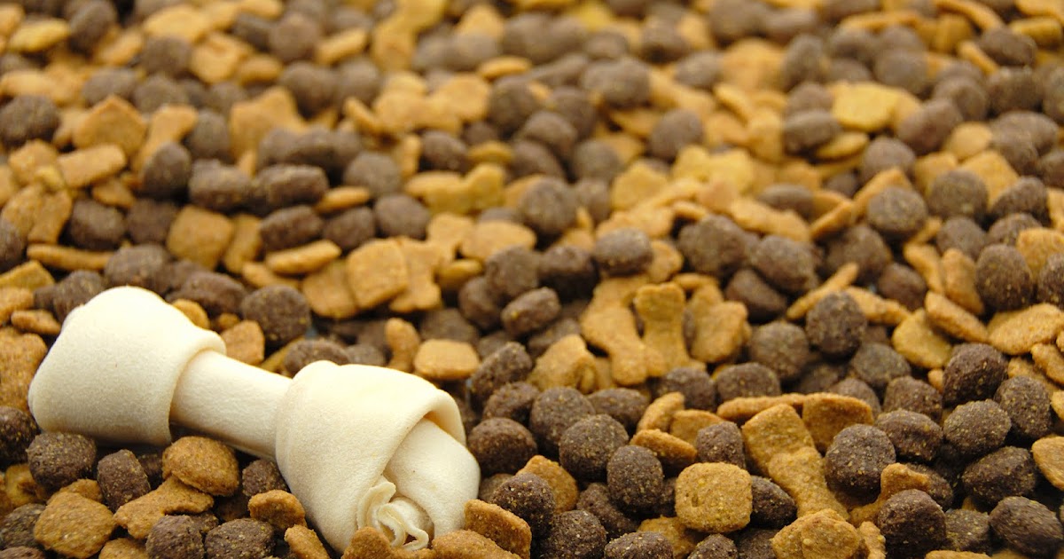 Dog Fair Top 5 Best Affordable Dog Foods