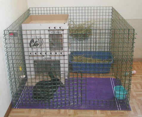 HD Animals: indoor rabbit cages